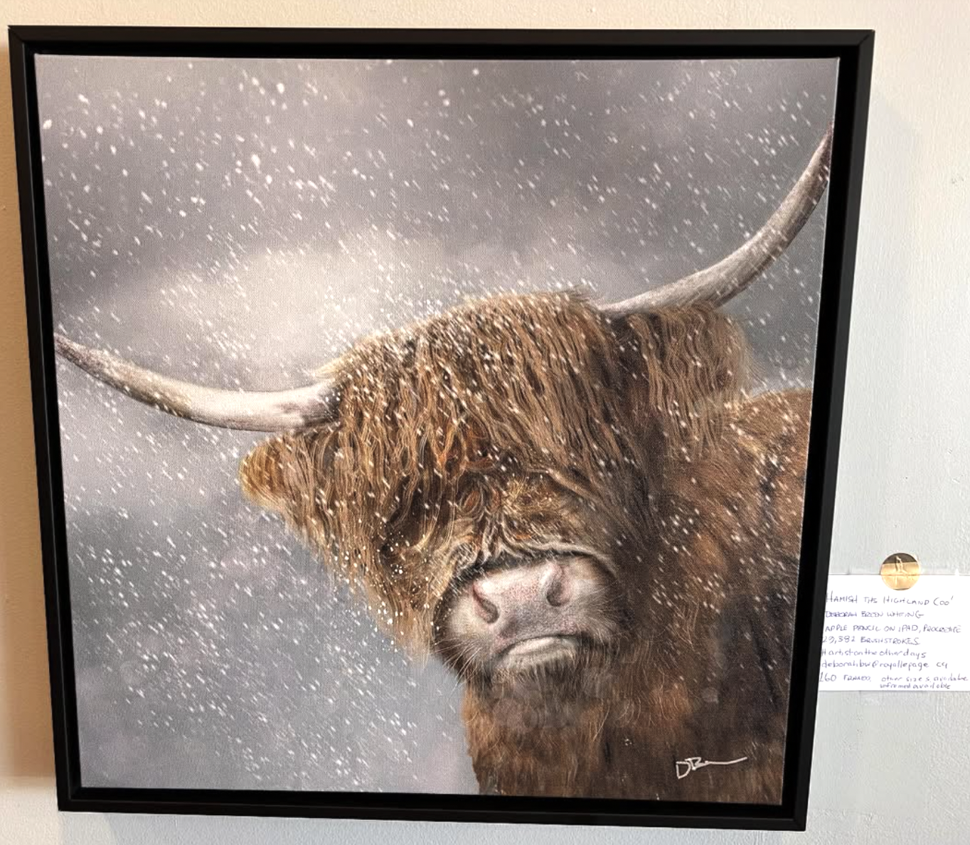 Highland Coo painting at Main Street Cafe